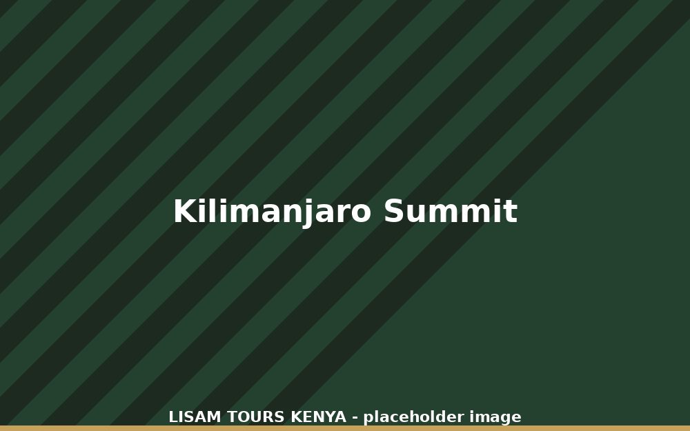 Trekkers approaching the summit of Mount Kilimanjaro at sunrise
