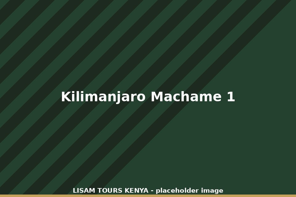 Mount Kilimanjaro Machame Route (7 Days)